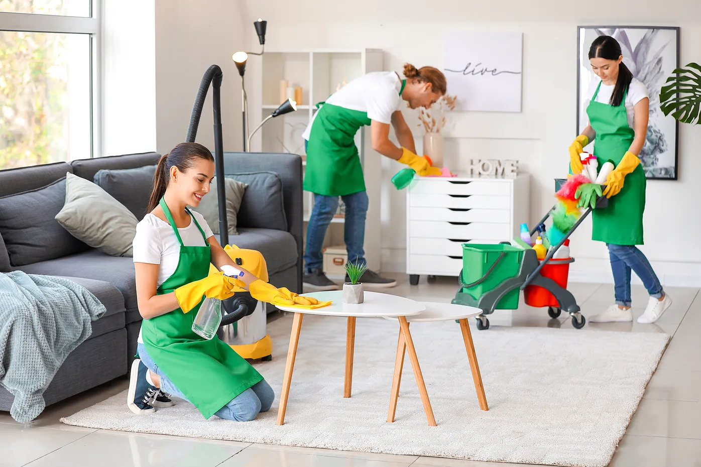 Move-In / Move-Out Cleaning